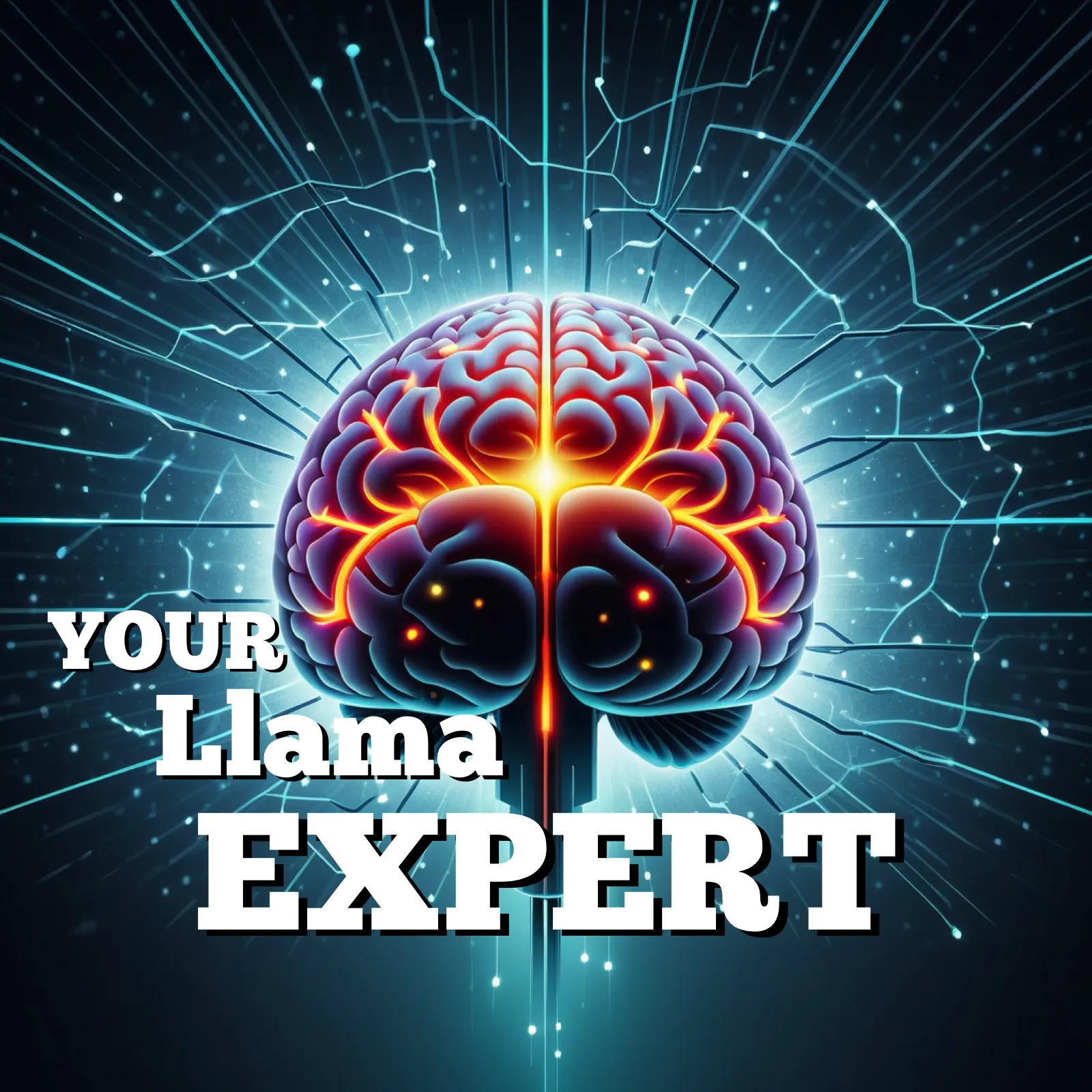 Your Llama Expert