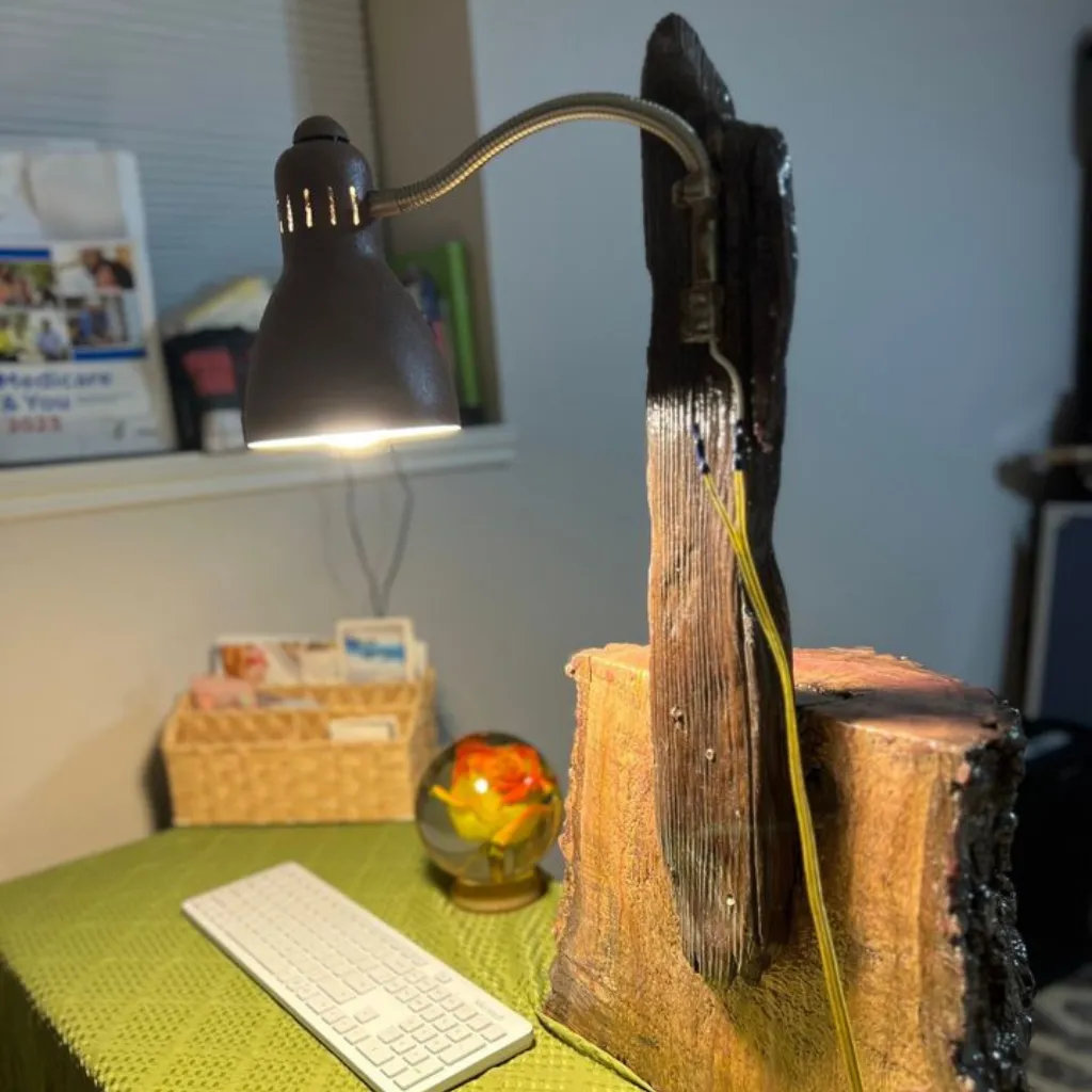 Wood Burrow Desk Lamp
