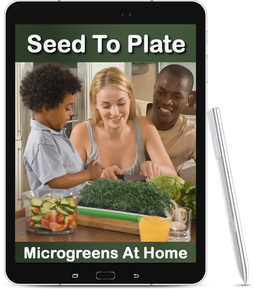 Microgreens At Home 101