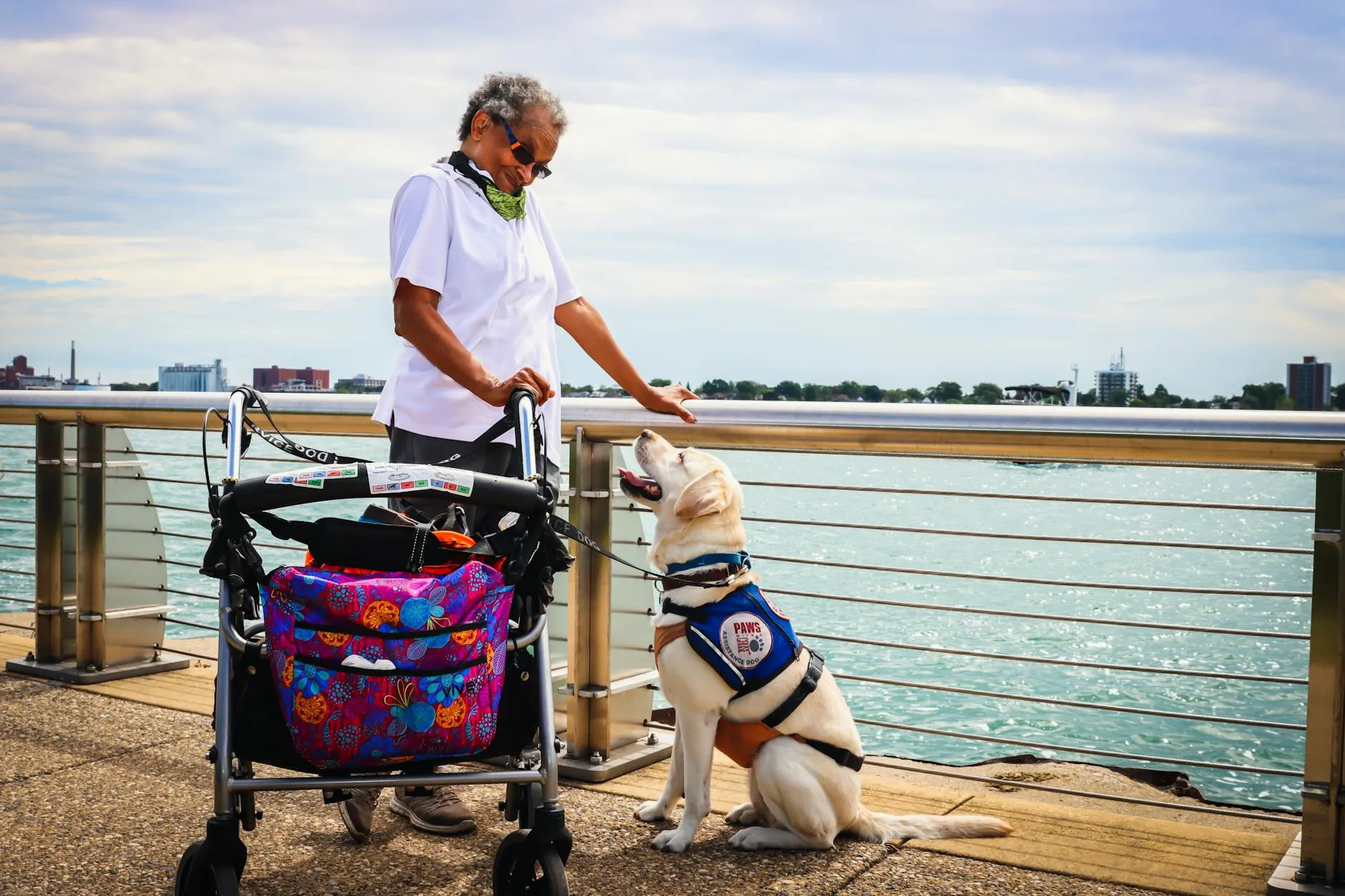 Therapy dog sitting calmly next to person using walker, demonstrating support and companionship