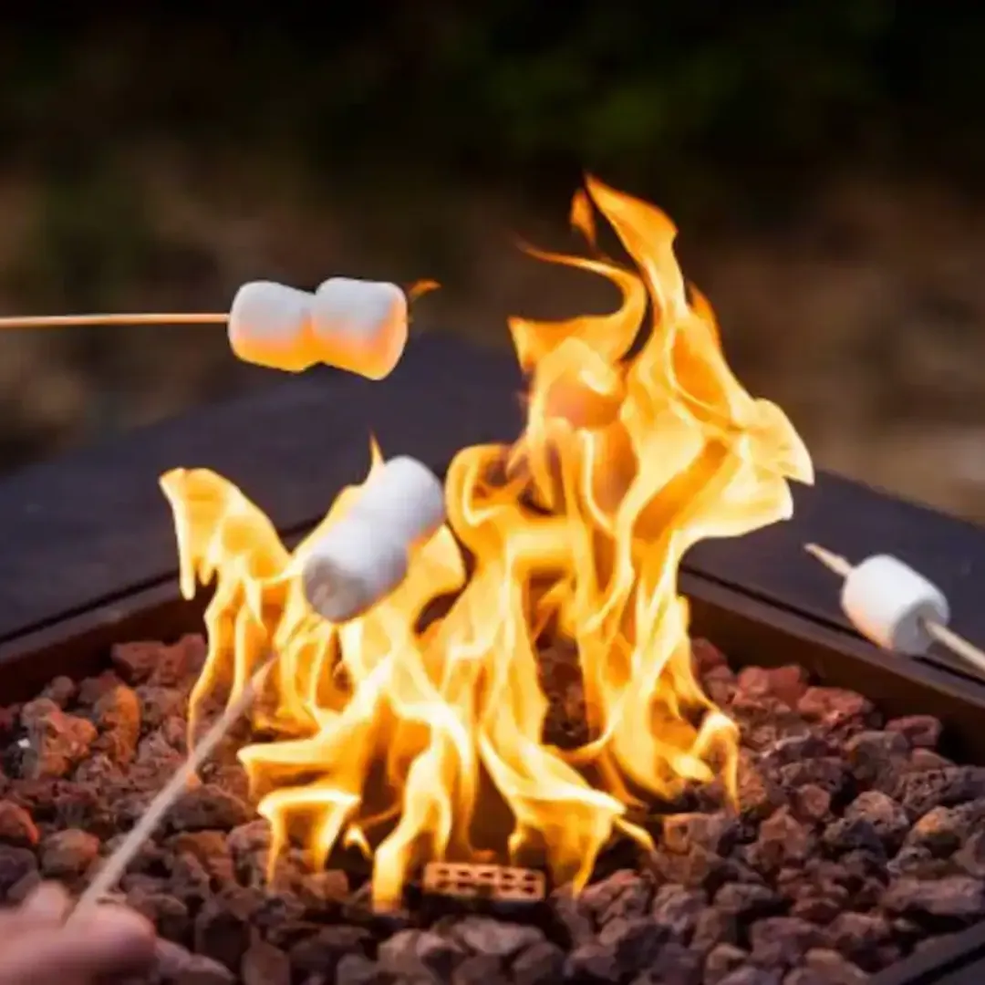 marshmallow roasting