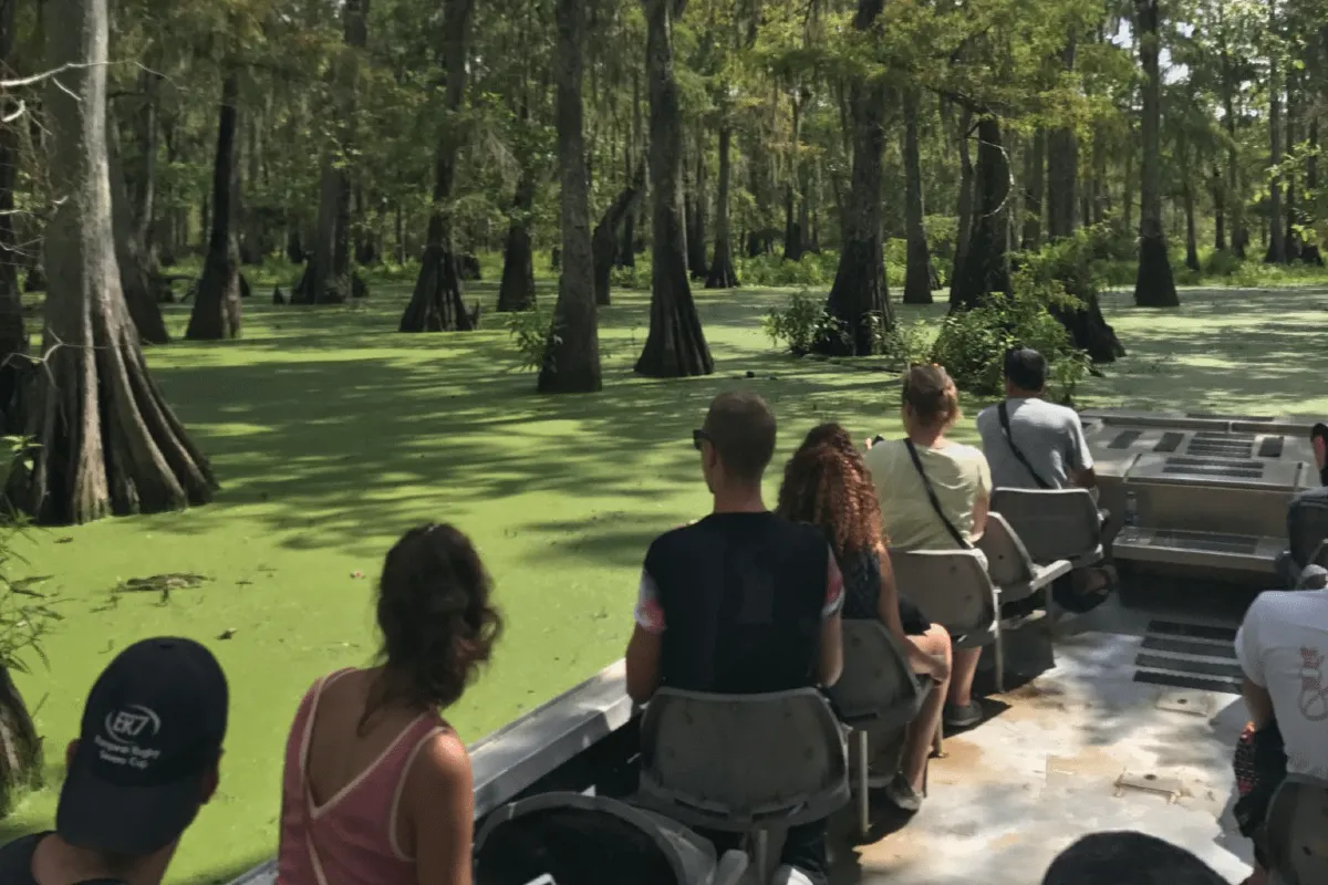 swamp boat tours in louisiana