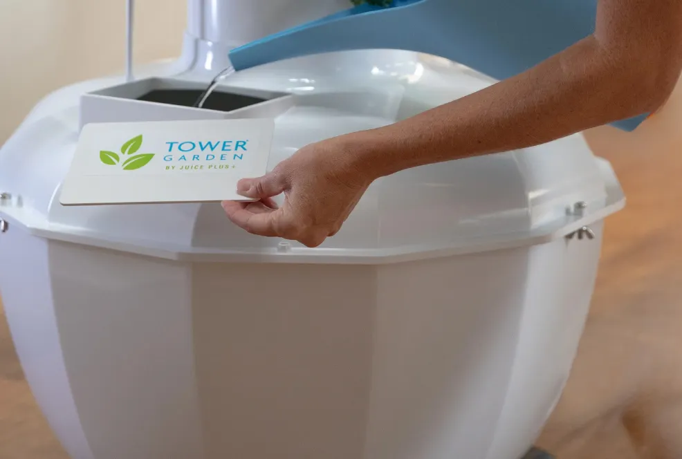 Person adding nutrient solution to Tower Garden reservoir for vertical hydroponic gardening.