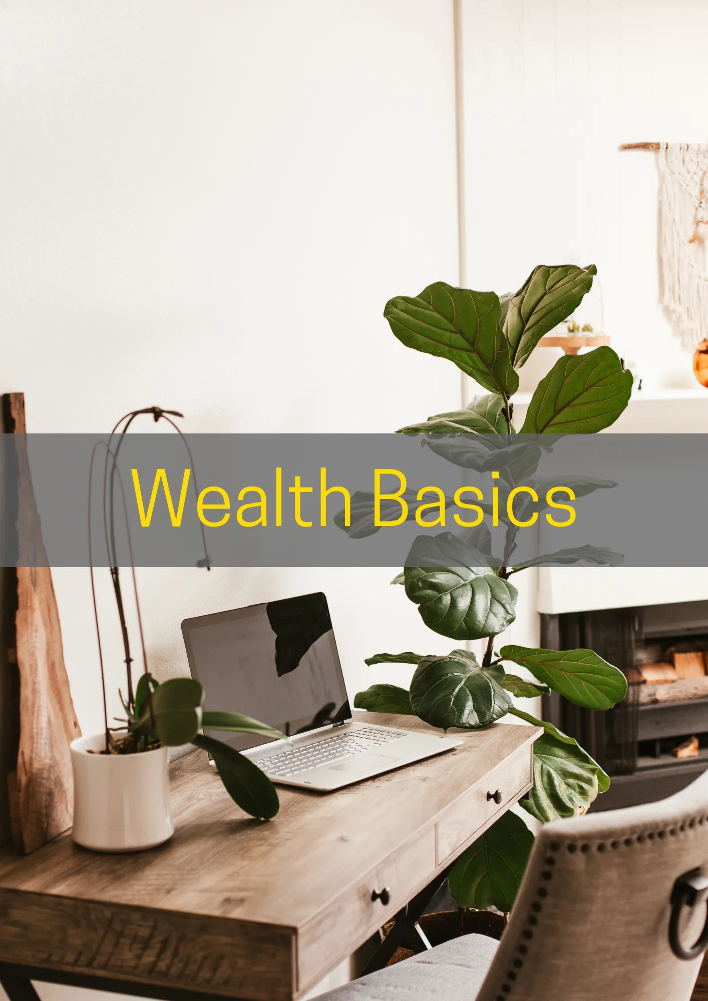 Wealth Basics