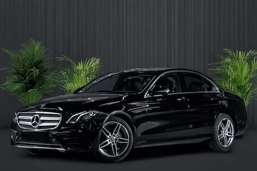 Mercedes-Benz E-Class Business Sedan