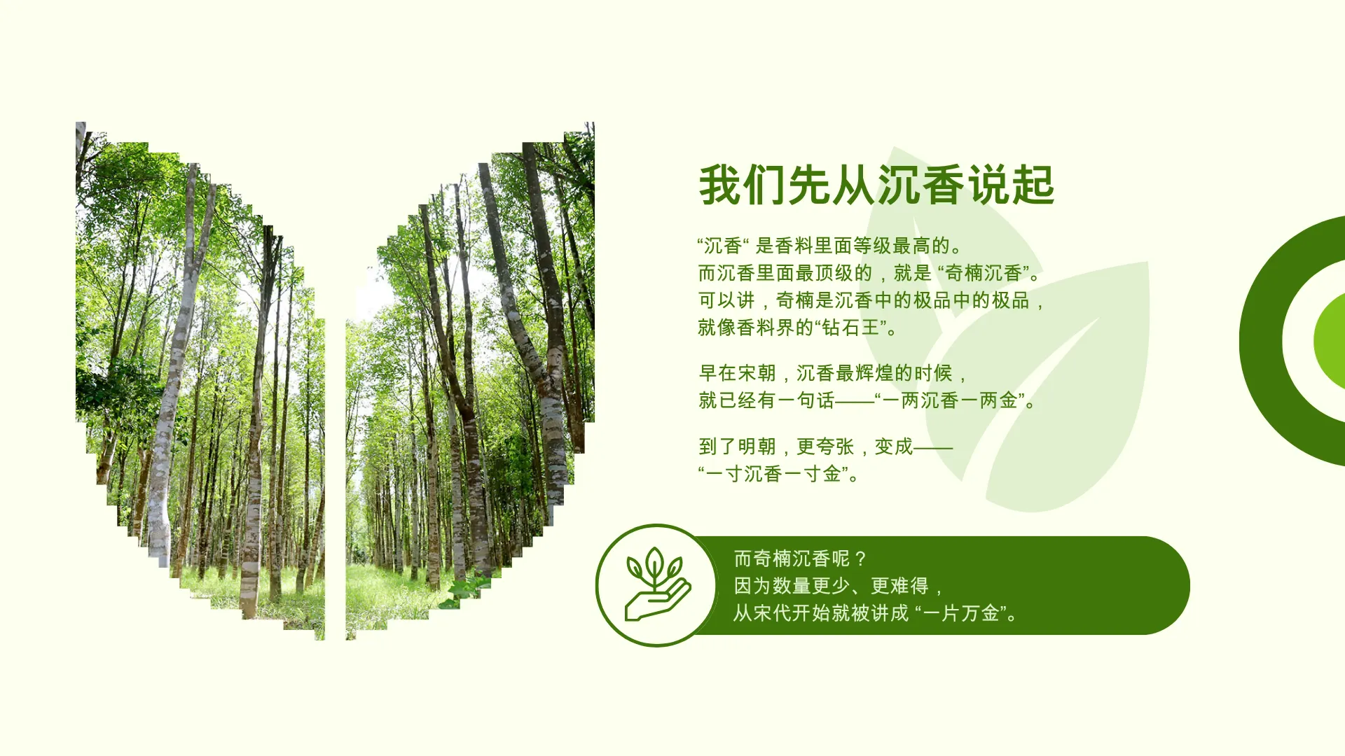 奇楠沉香园出售