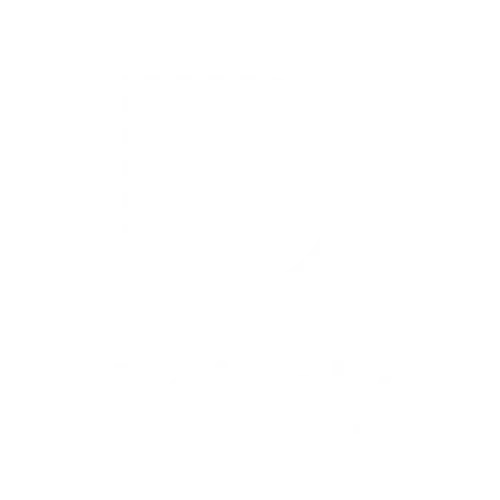 Doingly logo
