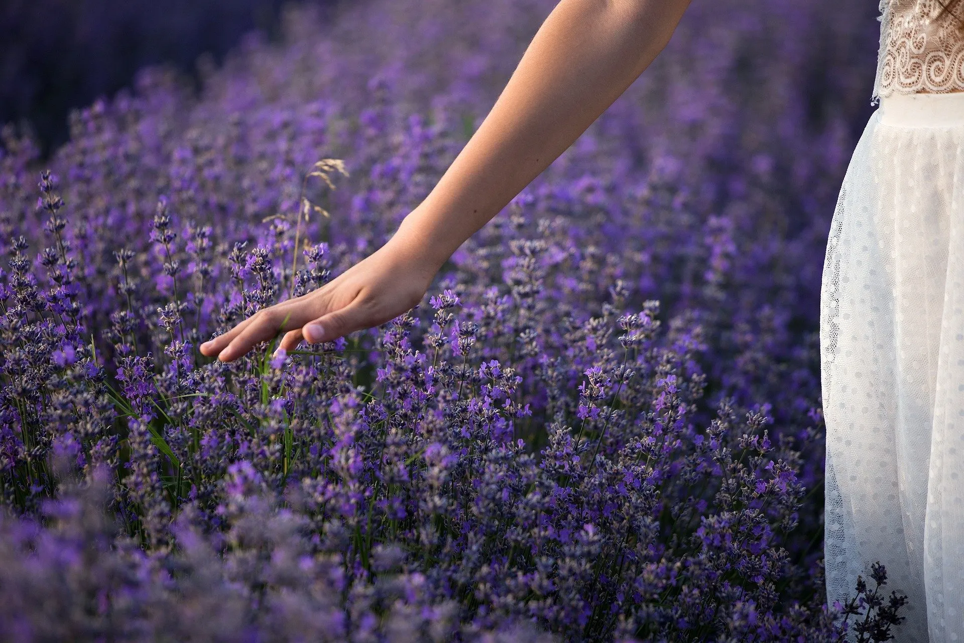 Lavender is both calming and soothing to your skin