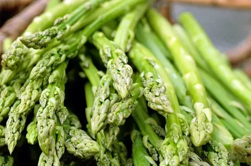 asparagus for reproductive health