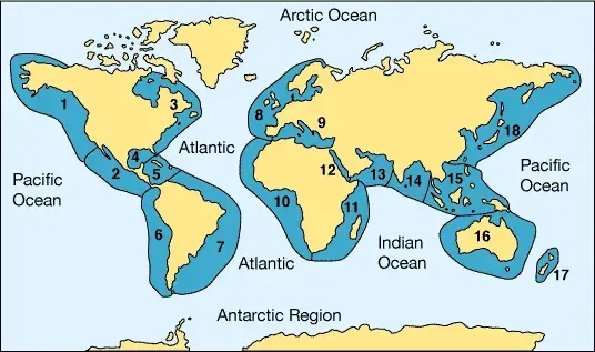 shark world map