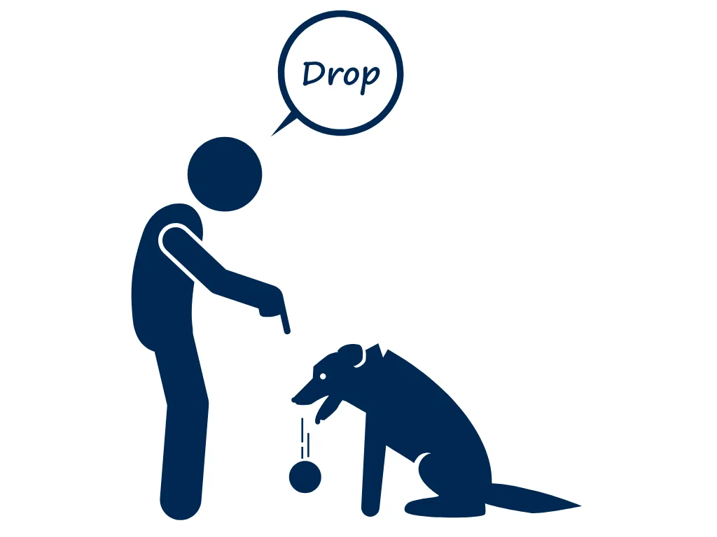drop it puppy k9 canine newmans dog training online course