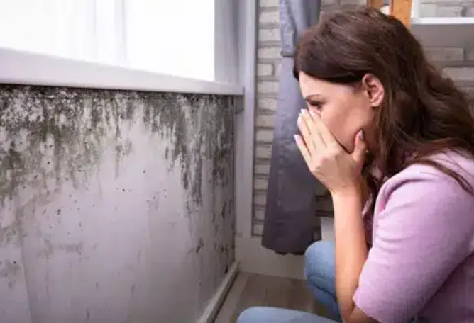 women inspecting a terrible mould growth