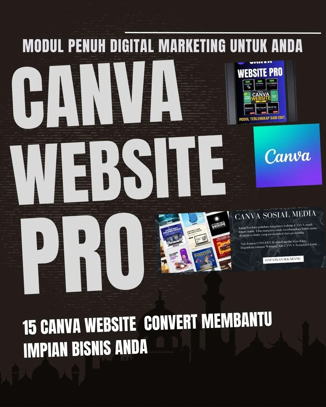 CANVA WEBSITE PRO