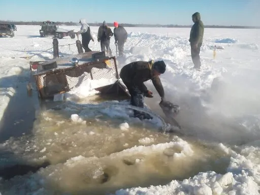 Submerged Truck