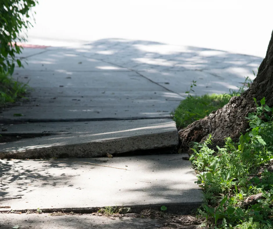 PERSONAL INJURY ATTORNEYS EL DORADO TREE ROOT DISPLACING SIDEWALK