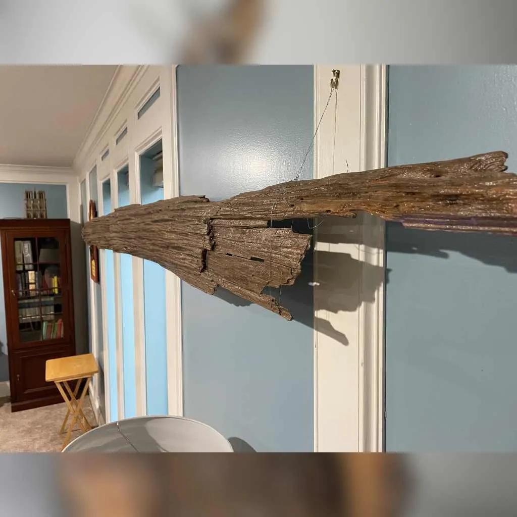 piece of driftwood texas tree