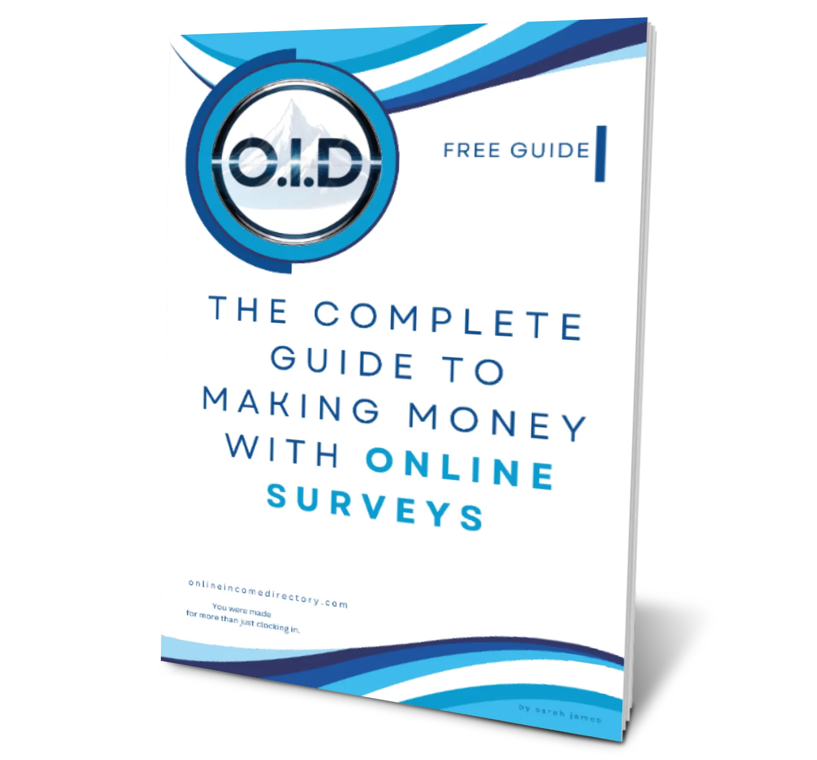 survey guide