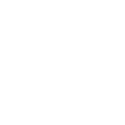 Mold Cleaner