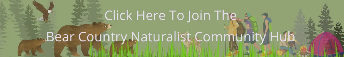Join the Bear Country Naturalist Community