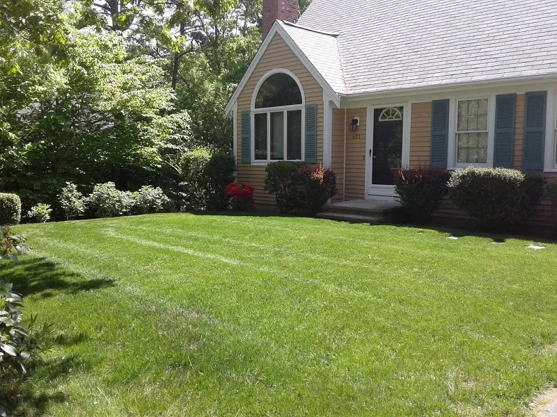 Trademark Lawns: Lawn and Property Maintenance