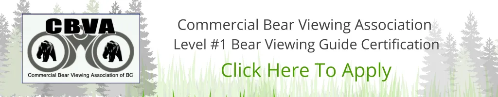 CBVA Level #1 Bear Viewing Certification 