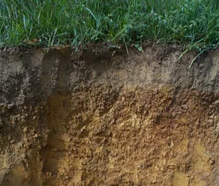 Soil profile