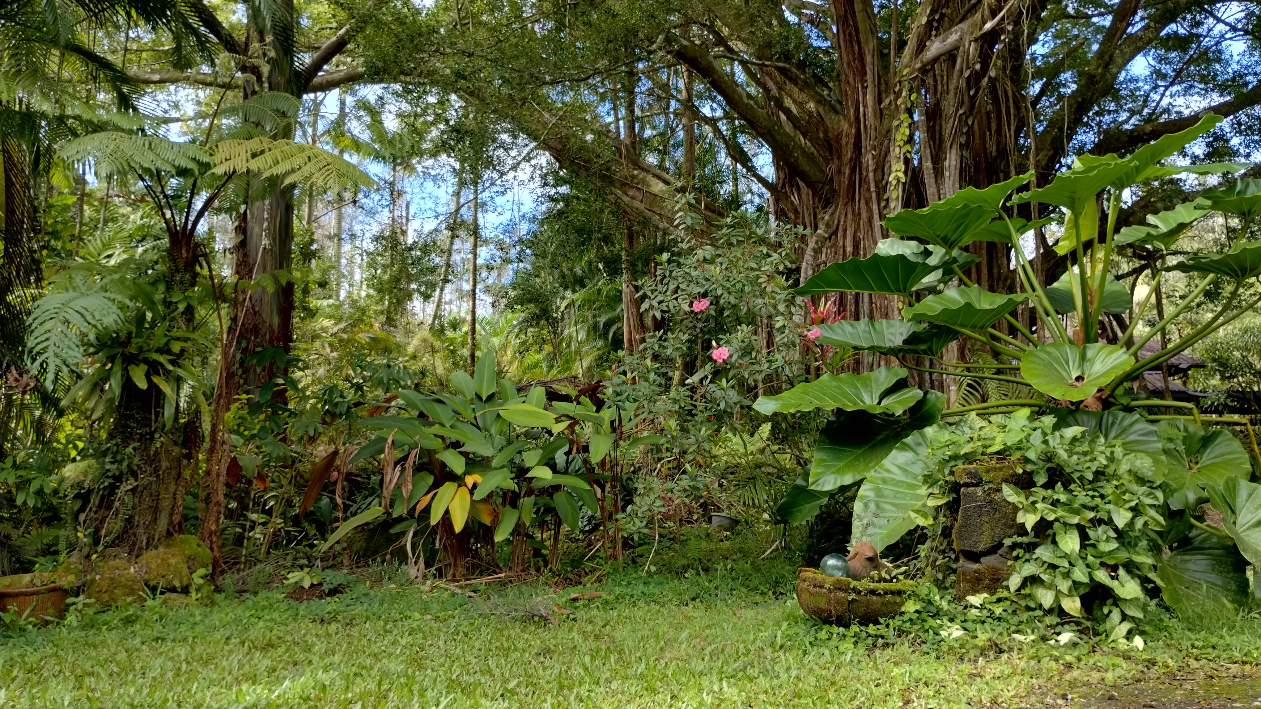 Heart of OM Sanctuary