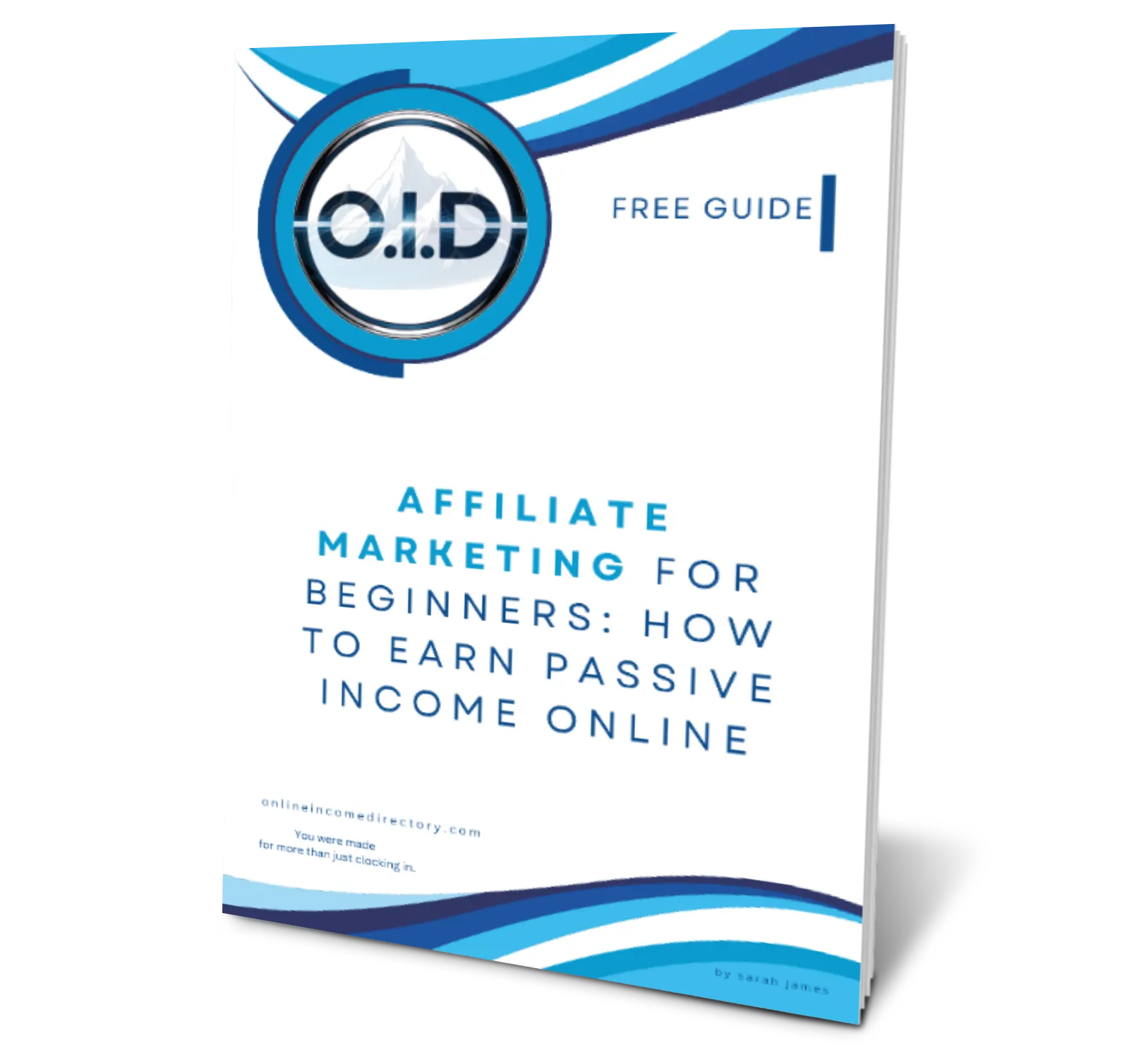 affiliate marketing guide