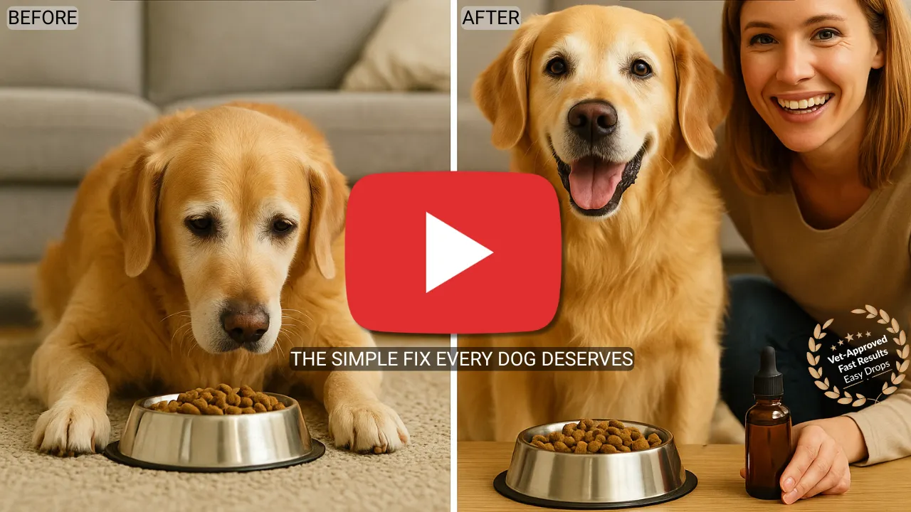 dog before and after health drops to food