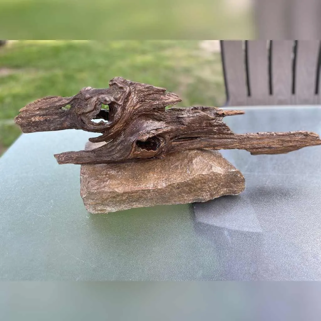 dinosaurs inspired driftwood