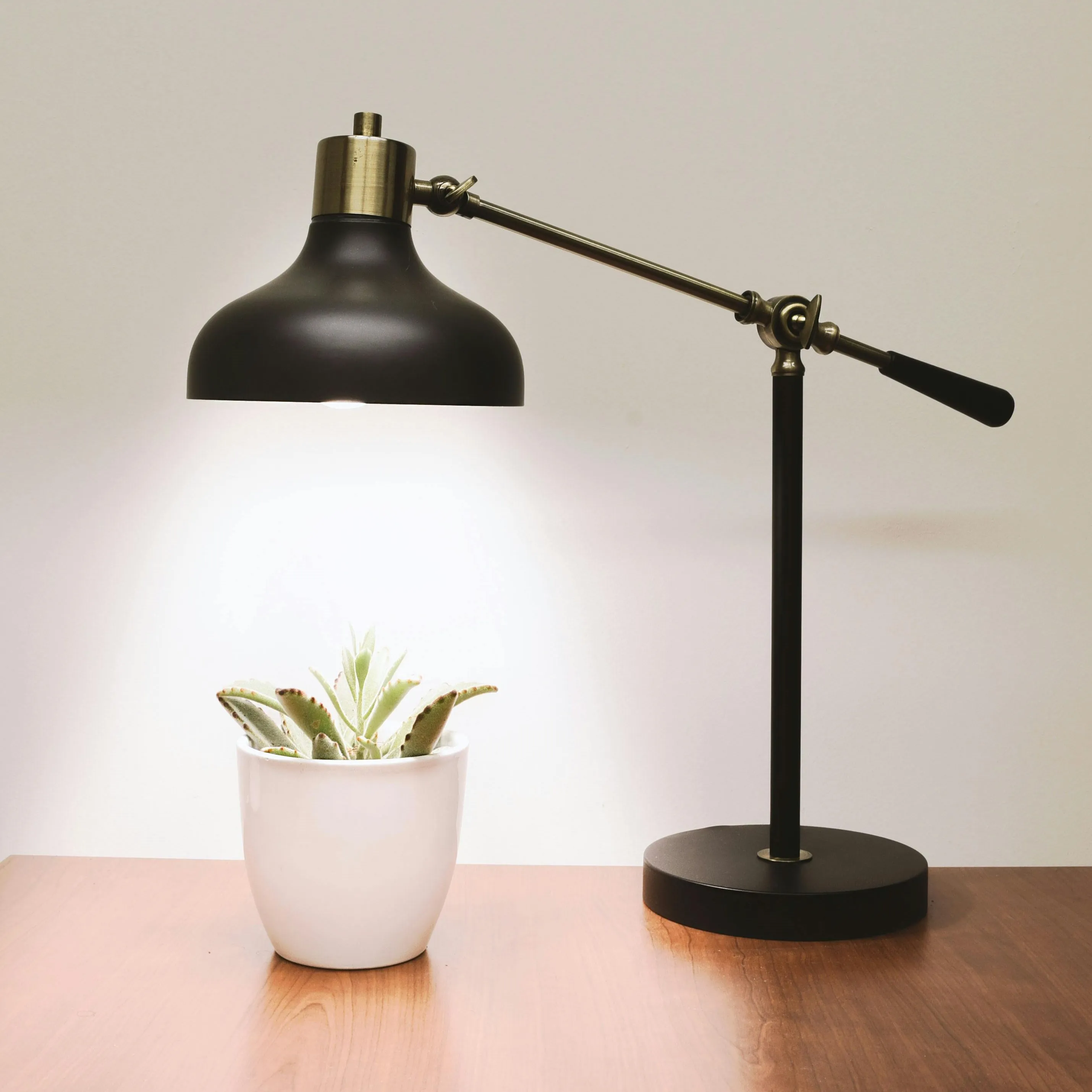 Black Lamp shining over a pot plant