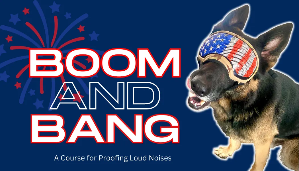 bang and boom fireworks dog training