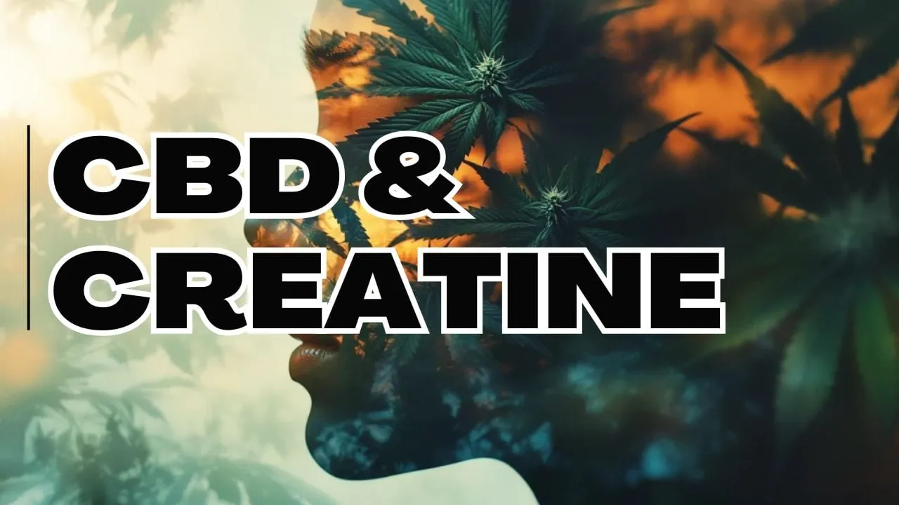 cbd and creatine