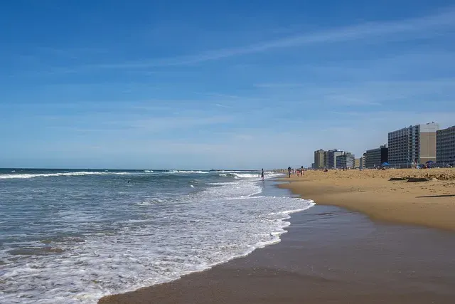 SEO in Virginia Beach