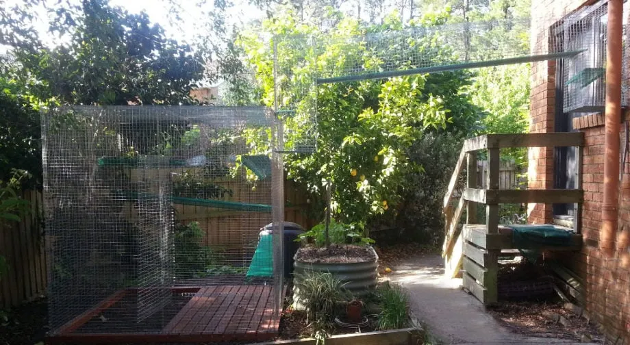 cat enclosure with tunnel over pathway