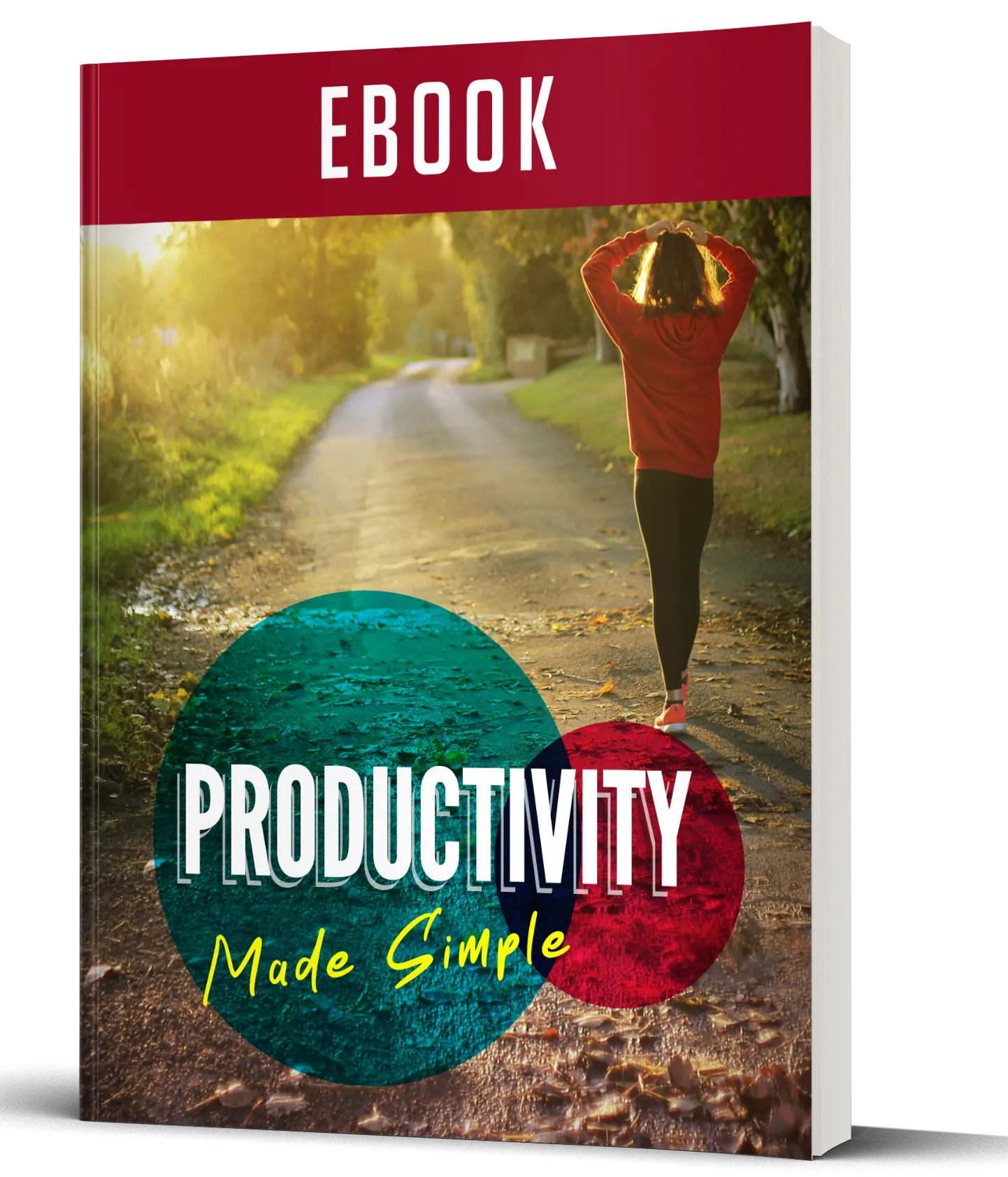 Productivity Made Simplepremium guide