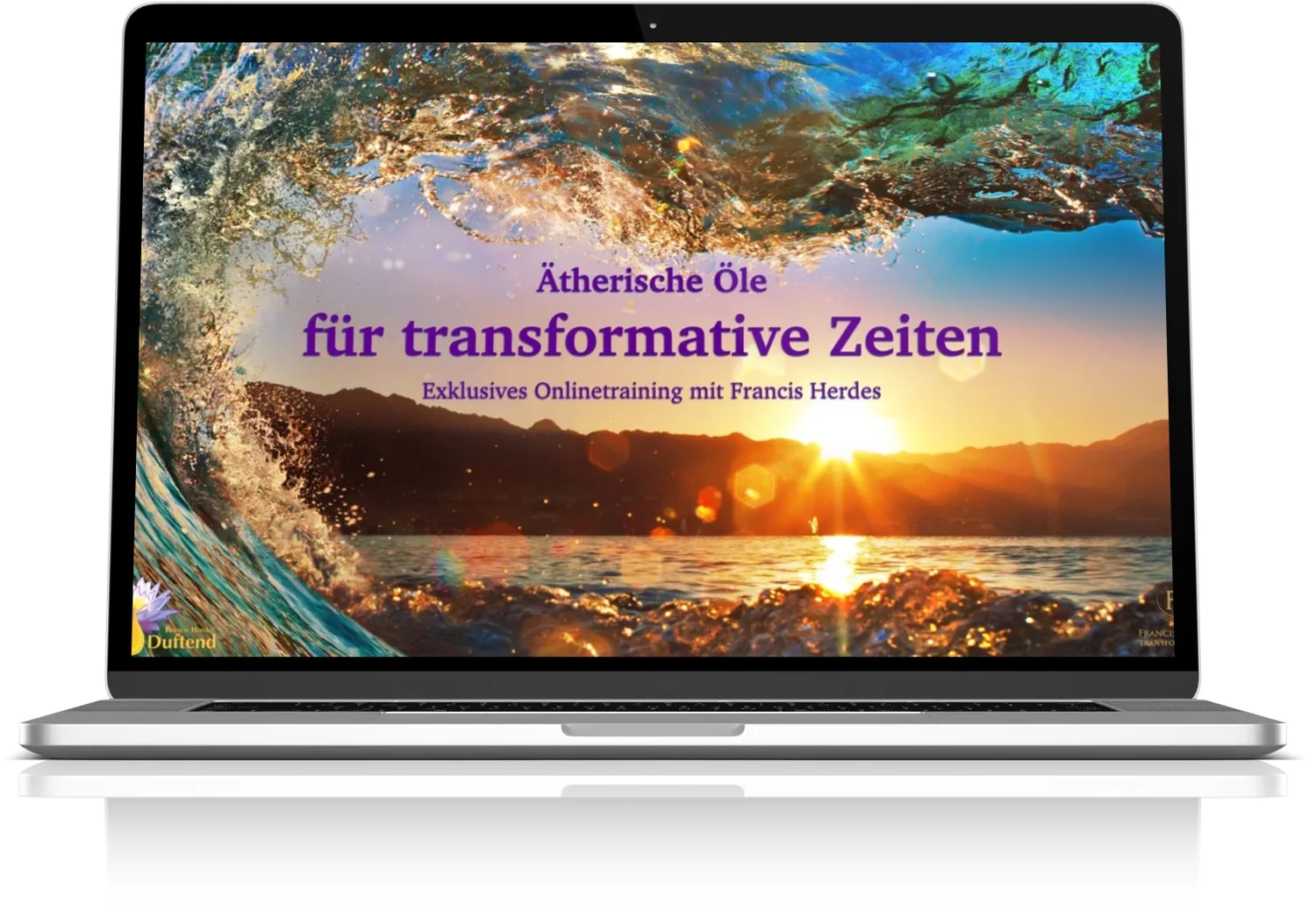Ätherische Öle für transformative Zeiten