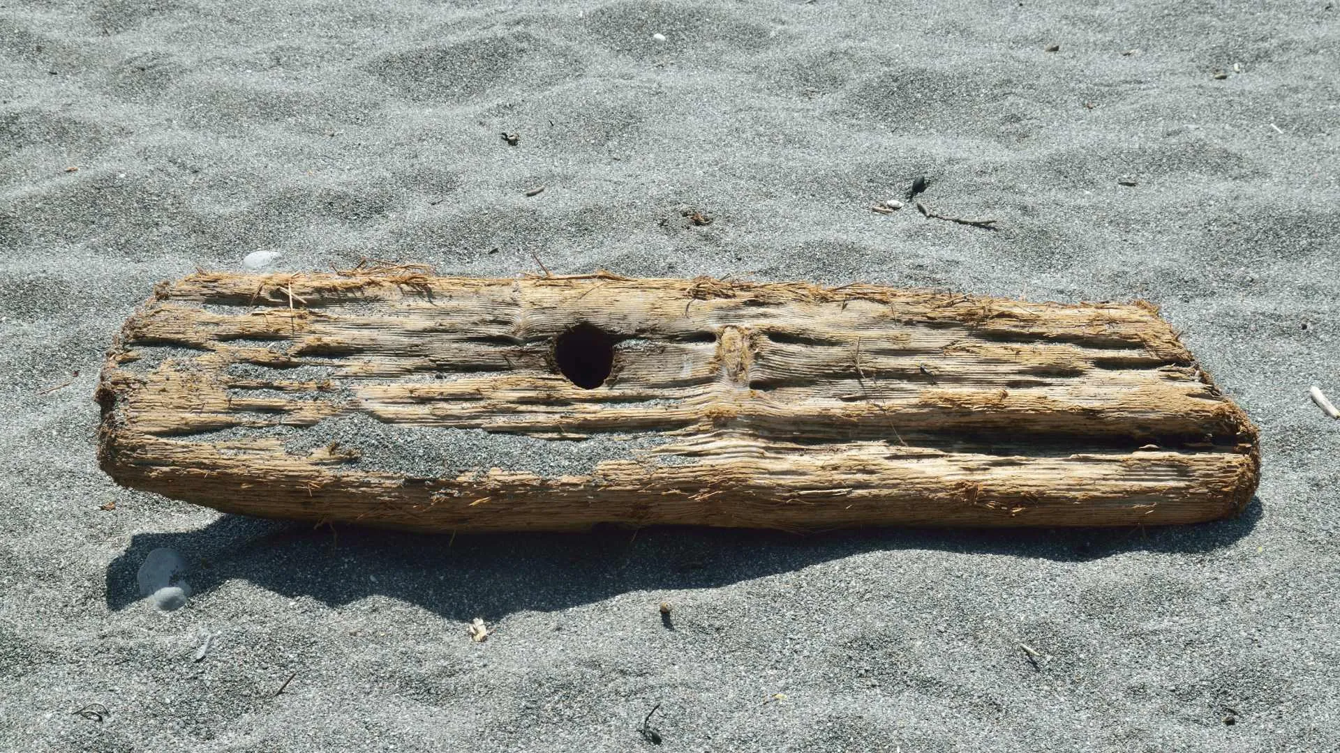 where to find driftwood