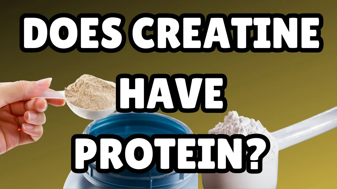 Does Creatine Have Protein?  combat creatine