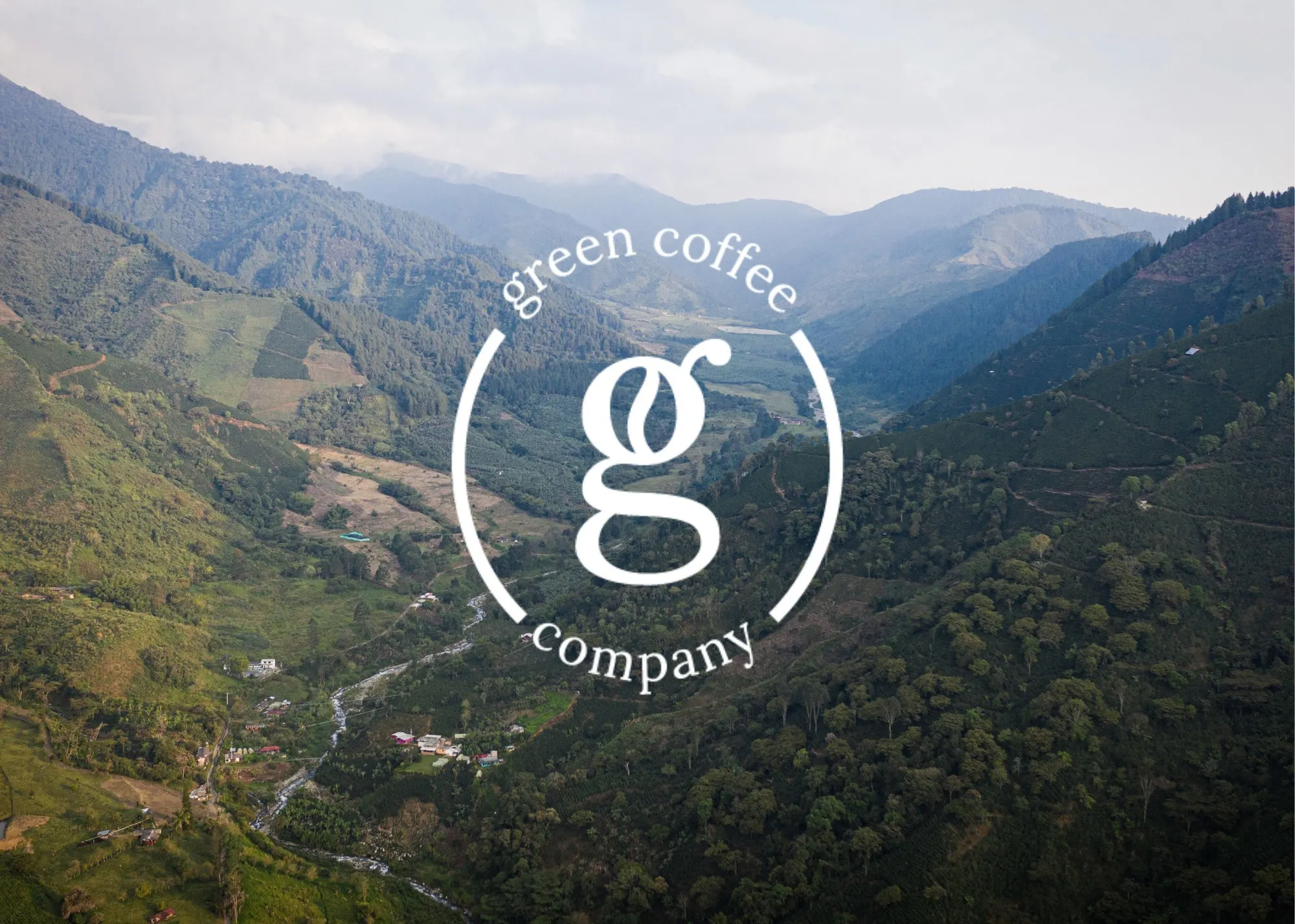 Green coffee company