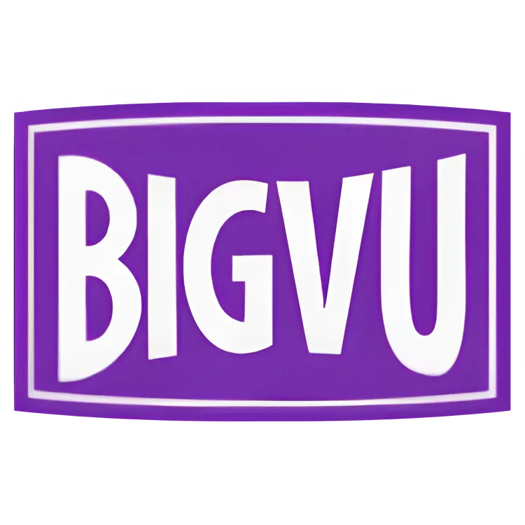 logotipo-de-bigvu