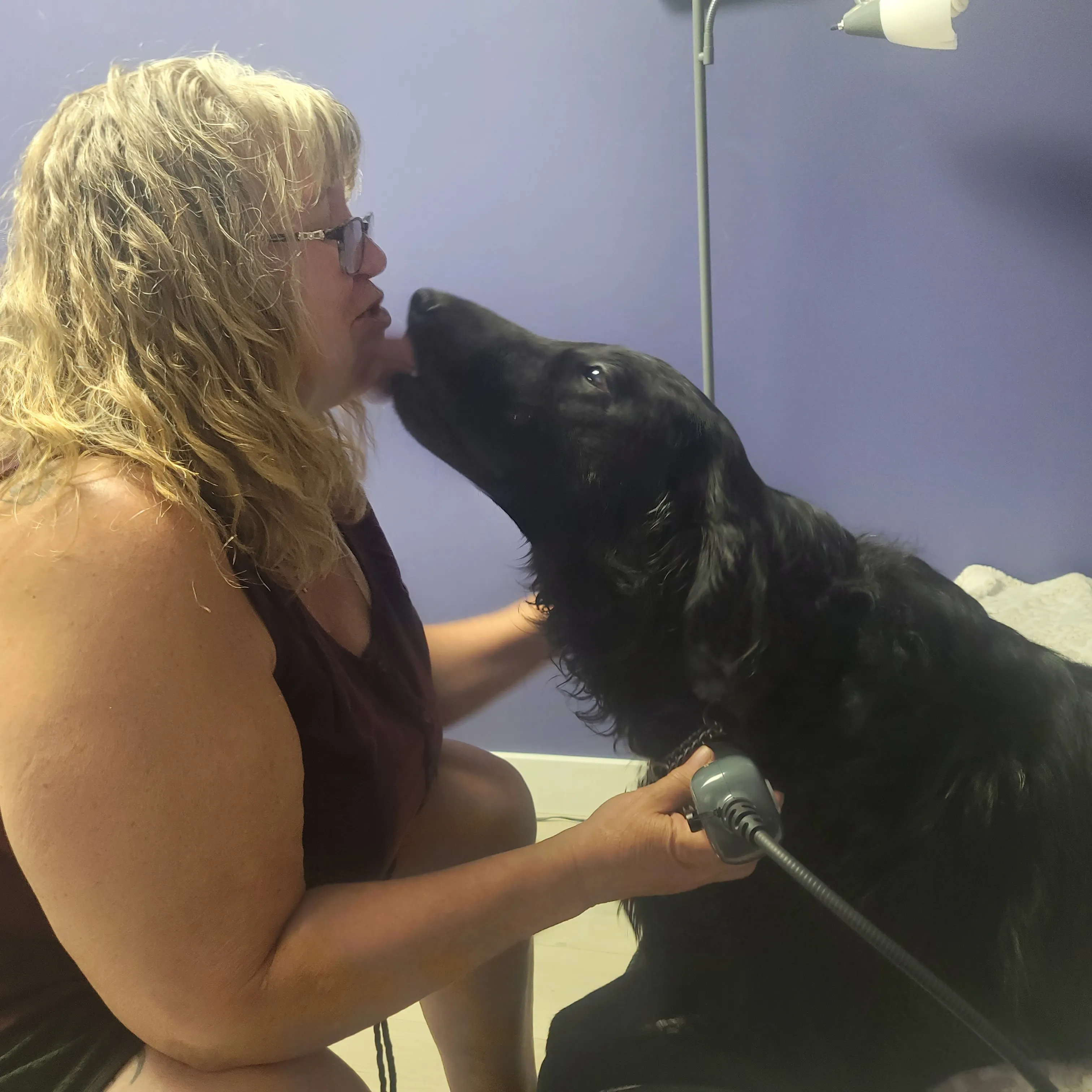 Illustration of veterinarian applying red light laser therapy to small dog on treatment table in Kamloops