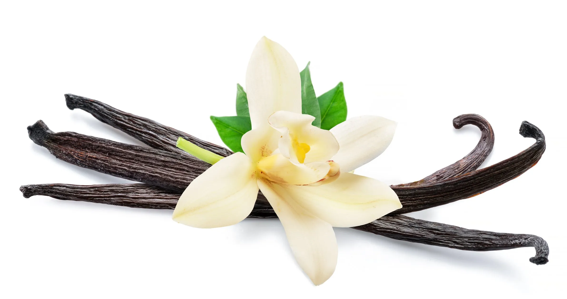 Always source fresh, real vanilla beans