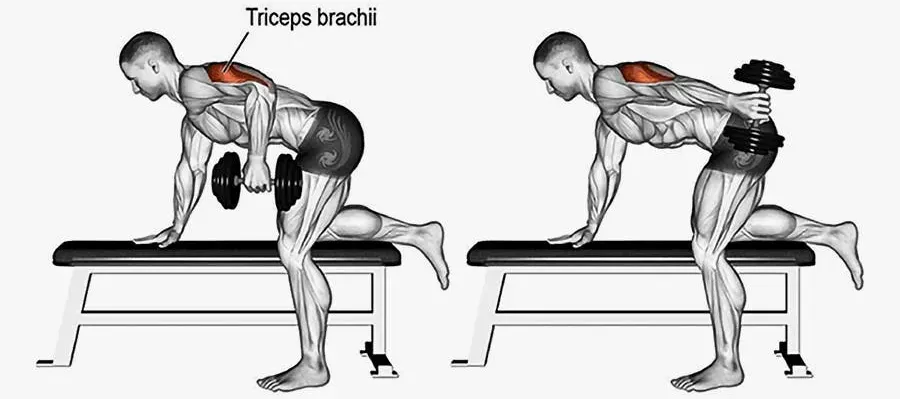 A tutorial diagram of a man doing a triceps kickback.