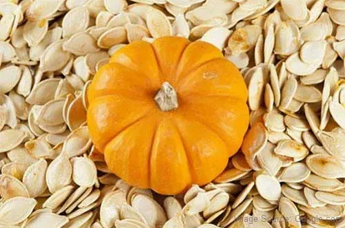 pumpkin seeds overcome fertility issues