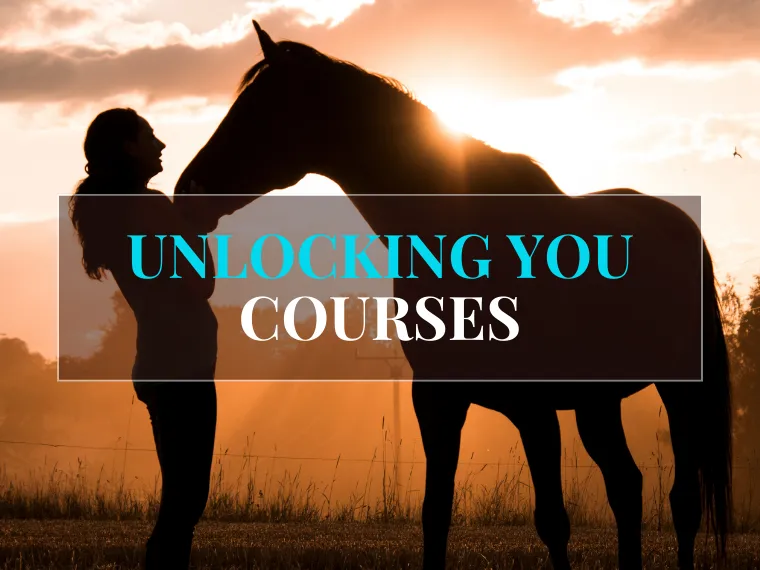 Unlocking You Courses