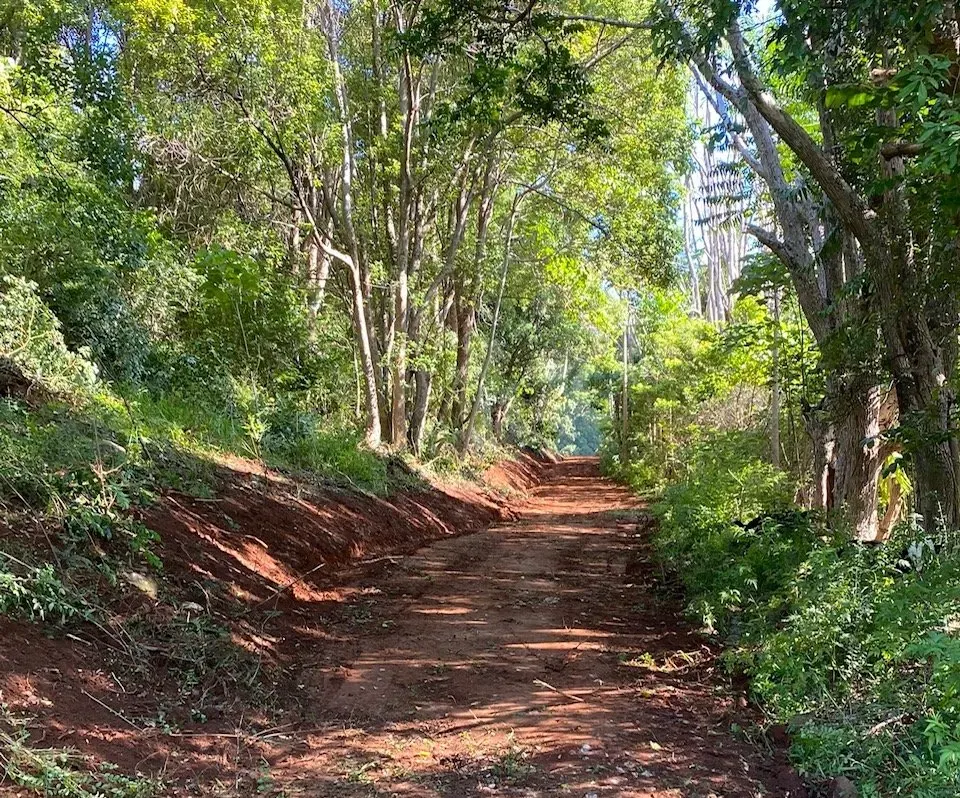 farm tracks construction and clearing