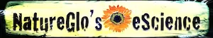 NatureGlo's eScience MathArt™ and Marine Biology Online Self-paced Courses for Homeschool Kids Grades 5 - 12