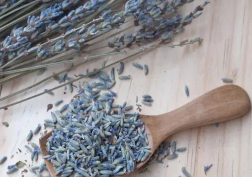 Dried lavender can be placed in drawers, closets, and more to naturally scent the area.