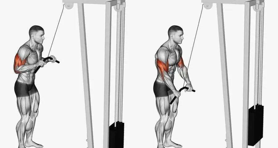 Tutorial images of doing a triceps press-down.